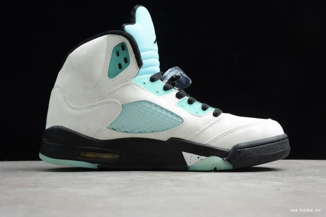 Chep Onekick Jordan Green 5 CN2932-100 Air Island 0710
